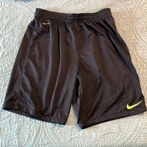 Mens Nike Dri-fit Shorts